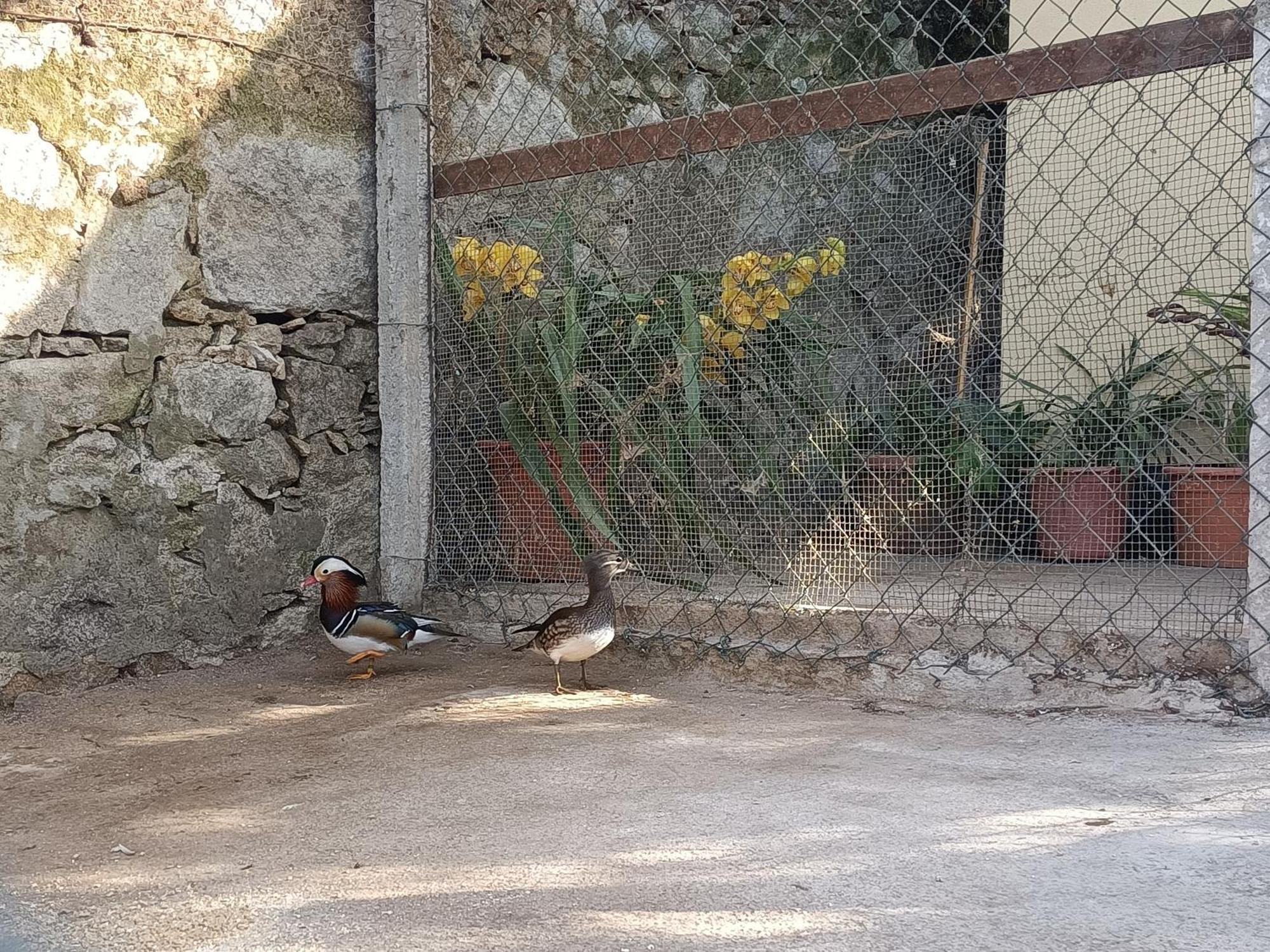 Casa De Santa Luzia B Βίλα Caminha Εξωτερικό φωτογραφία